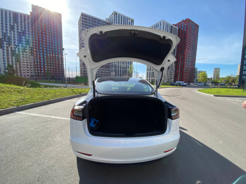 TESLA -3