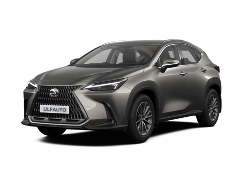 LEXUS 
