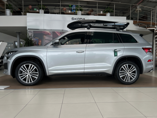 Skoda-2